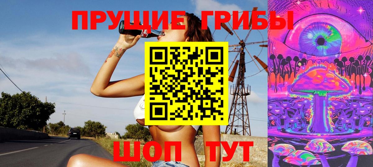 Галлюциногенные грибы мицелий  Галлюциногенные грибы мицелий  Новый Уренгой  Вход с VPN 